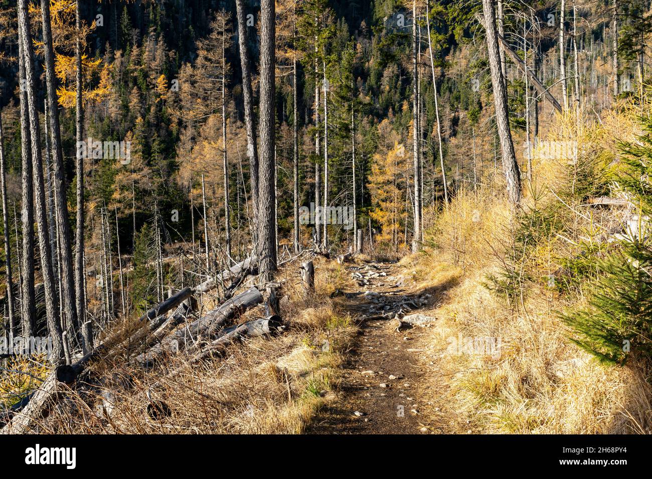 Slovacchia. Bellissimo paesaggio autunnale di alti Tatra trekking a Lomnicky Peak (stit Lomnicky) e Kezmarsky Peak, Slovacchia Foto Stock