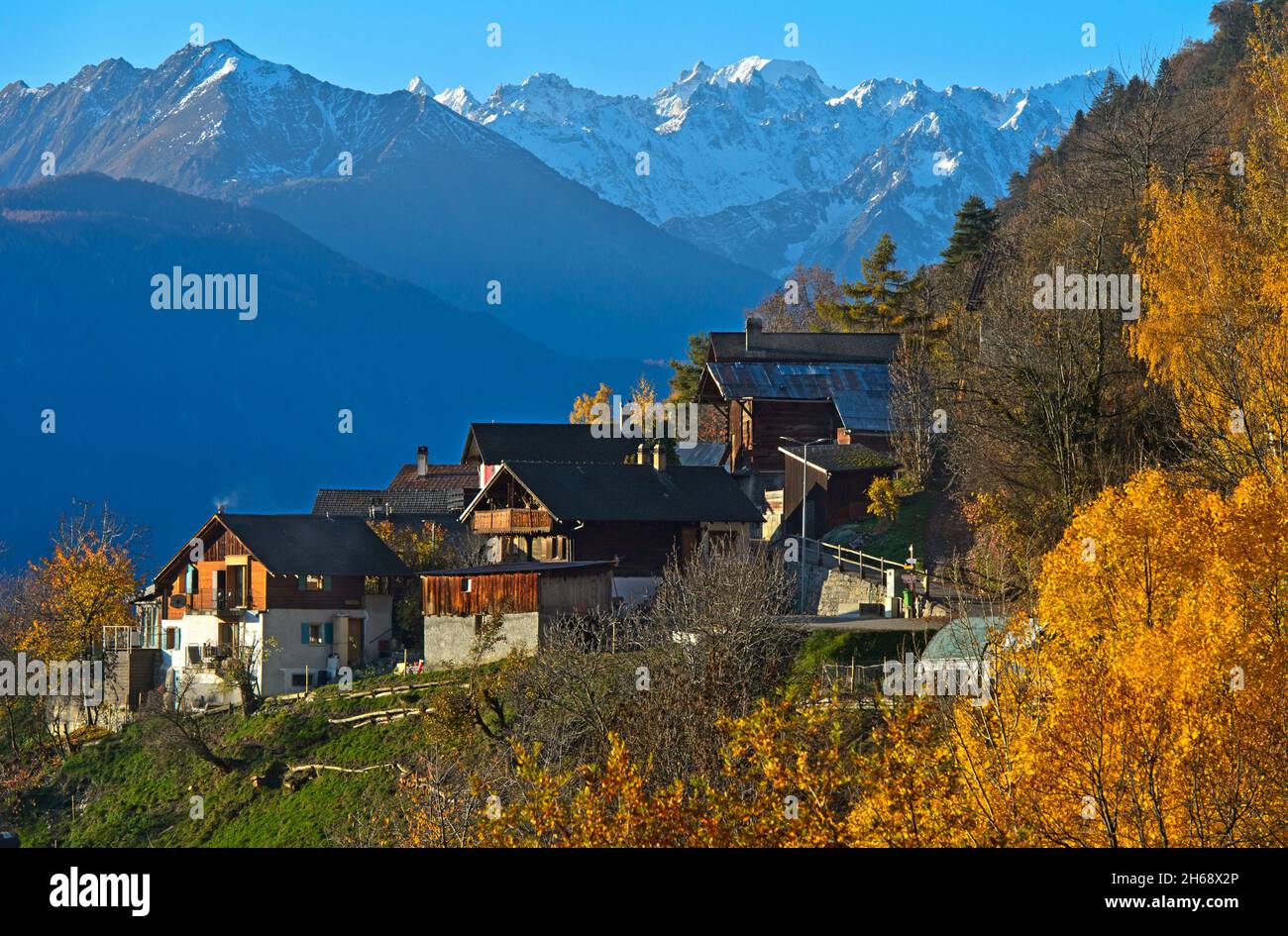 Frazione Les Places in coloratissimo bosco autunnale sulla terrazza solarium del Vallese, Les Places, Leytron, Vallese, Svizzera Foto Stock