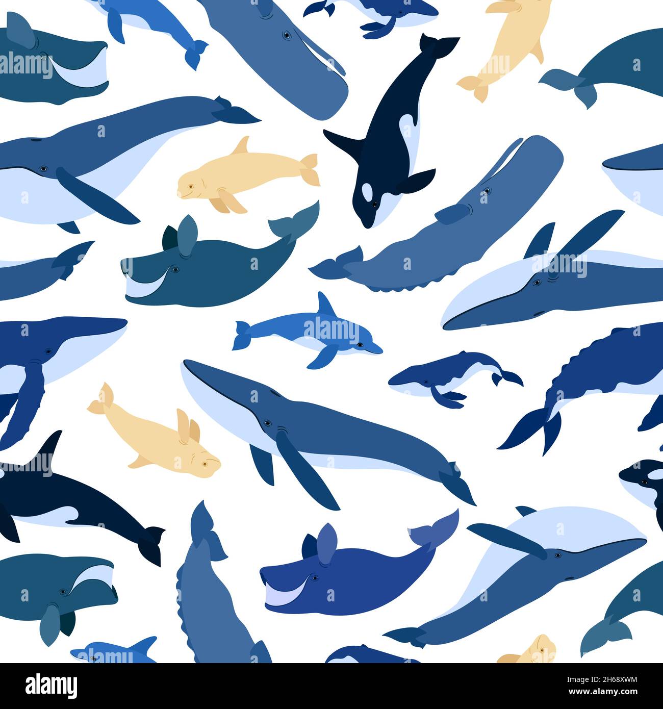 Sequenza perfetta di balene. Beluga, balena killer, balena humpback, cachalot, balena blu, dolphin, bowhead, balena destra meridionale, sperma hale. Mondo subacqueo, Marina. Illustrazione vettoriale di una balene. Illustrazione Vettoriale