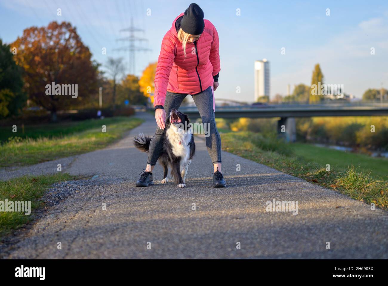 Donna amorevole che gioca con il suo cane Collie bordo su un sentiero lungo un fiume, mentre si fermano dal jogging in un concetto attivo stile di vita all'aperto Foto Stock