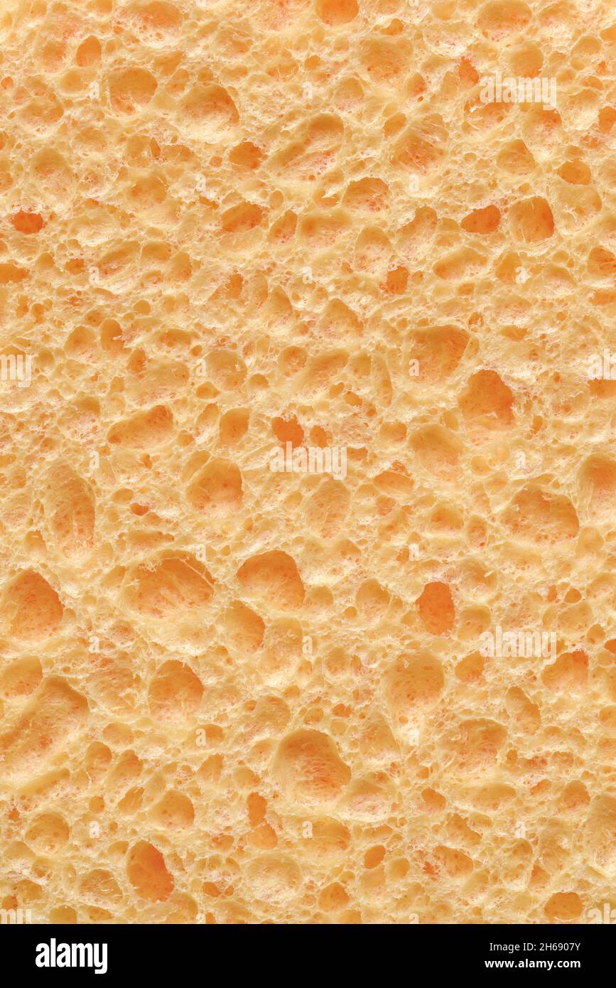 Sfondi e texture: Tessuto organico poroso astratto, spugna naturale superficie closeup shot Foto Stock