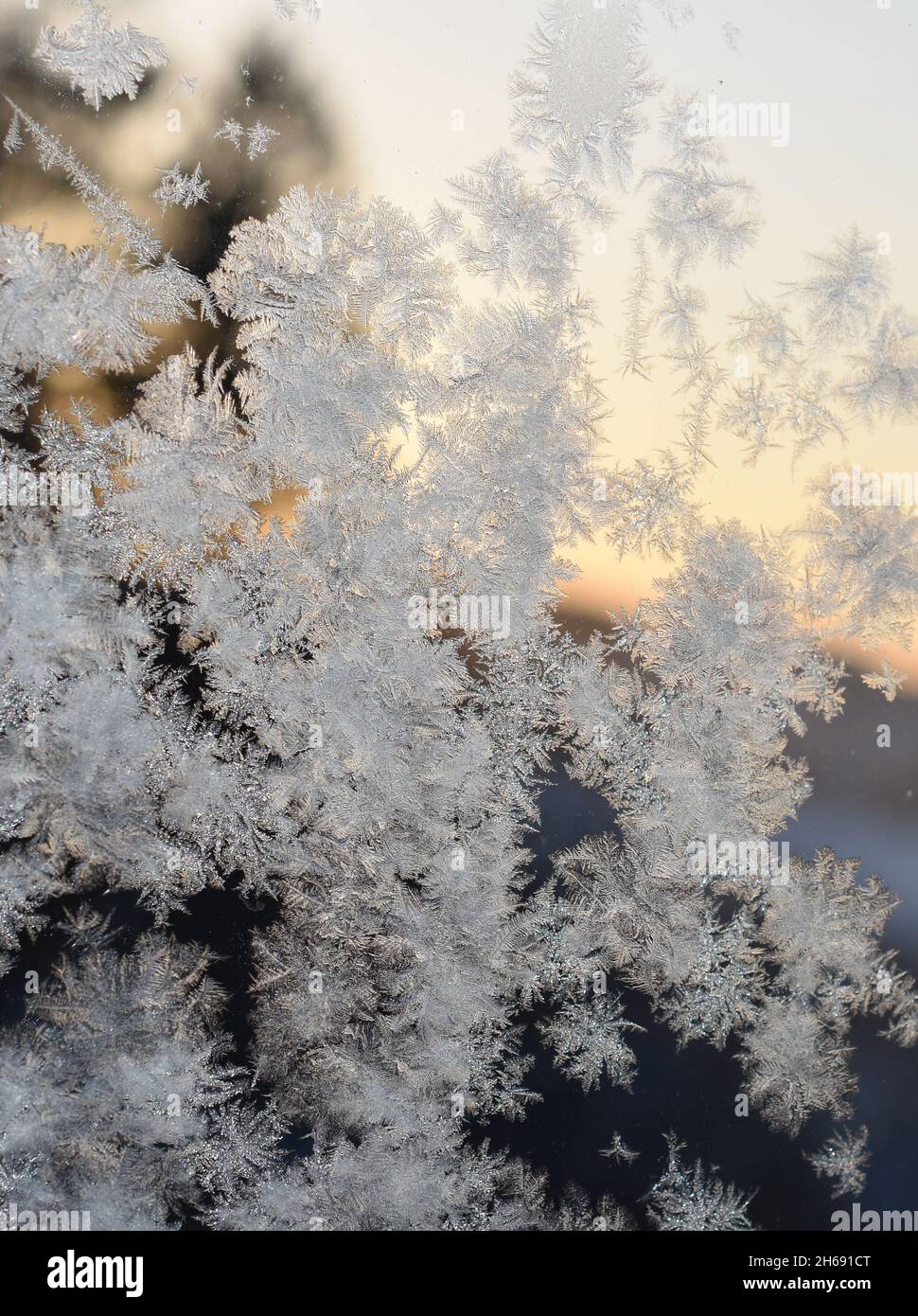Schema di gelo sulla finestra con scorcio del tramonto all'aperto dietro cristalli Foto Stock