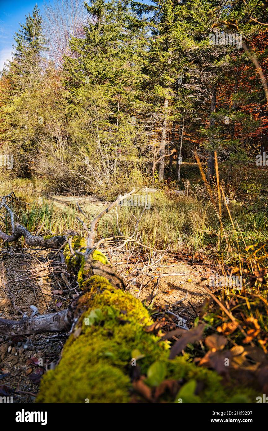 Paesaggio autunnale al Ödensee in Stiria Foto Stock