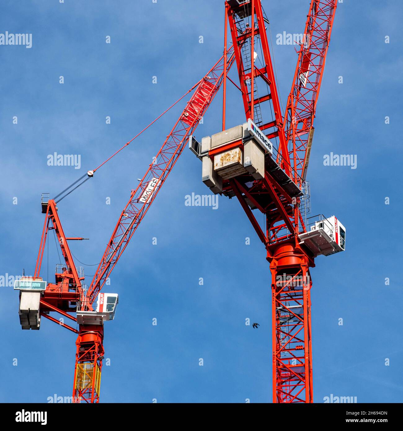 Victoria Westminster London Inghilterra UK, 7 novembre 2021, due Tall Red Tower Cranes contro Un cielo blu senza persone Foto Stock