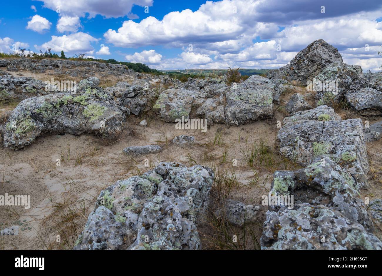 Pietre nelle formazioni rocciose di Pobiti Kamani chiamate deserto di pietra in Bulgaria Foto Stock