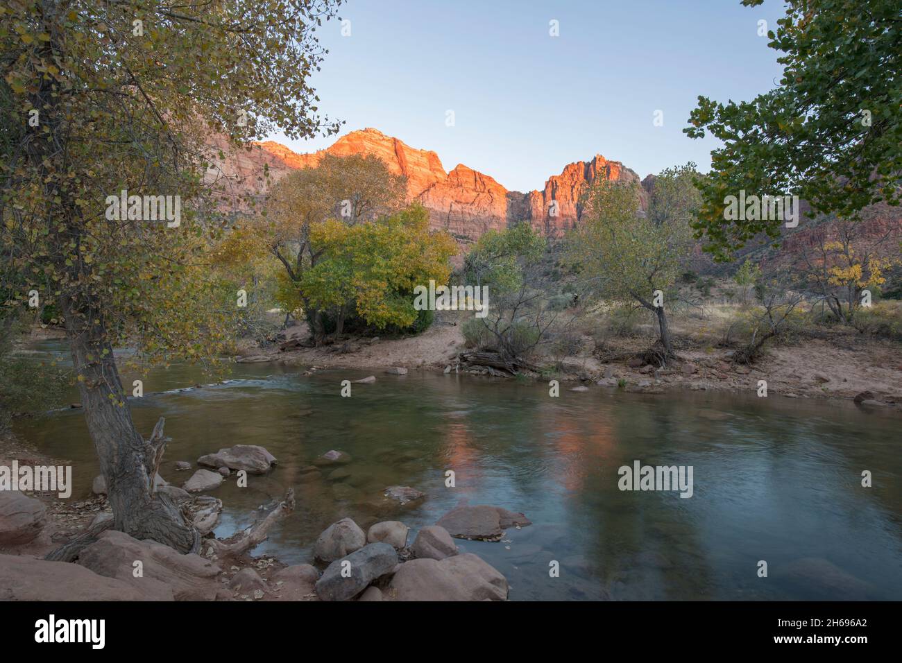 Zion National Park, Utah, USA. Vista dal sentiero Pa'rus attraverso il fiume Virgin fino a Bridge Mountain, autunno, scogliere incandescenti rosa nel sole del tramonto. Foto Stock