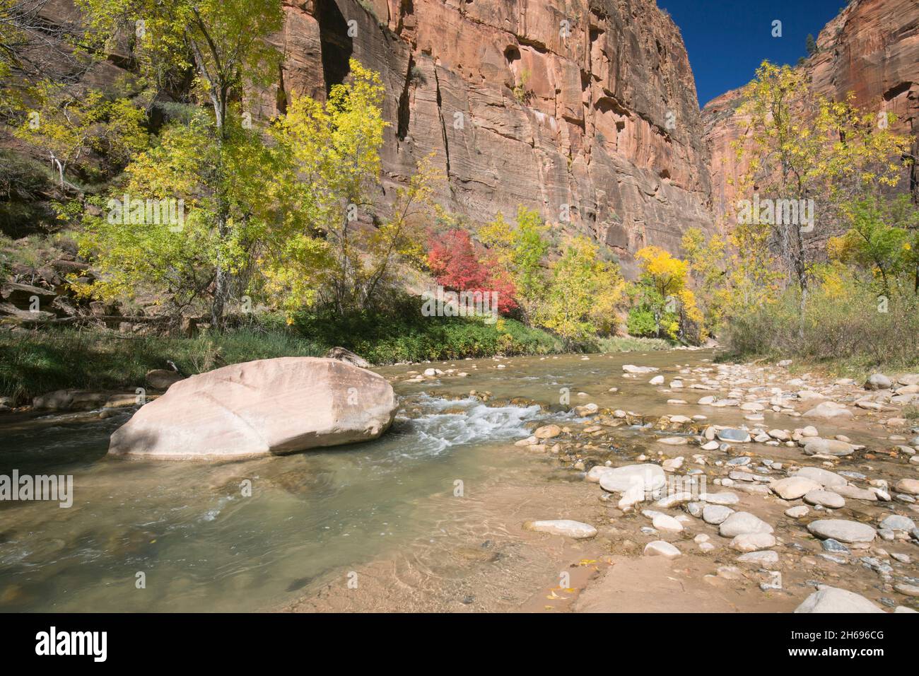 Zion National Park, Utah, USA. Ammira il fiume Virgin con le sue rocce fino alle torreggianti scogliere di arenaria del Tempio di Sinawava, in autunno. Foto Stock