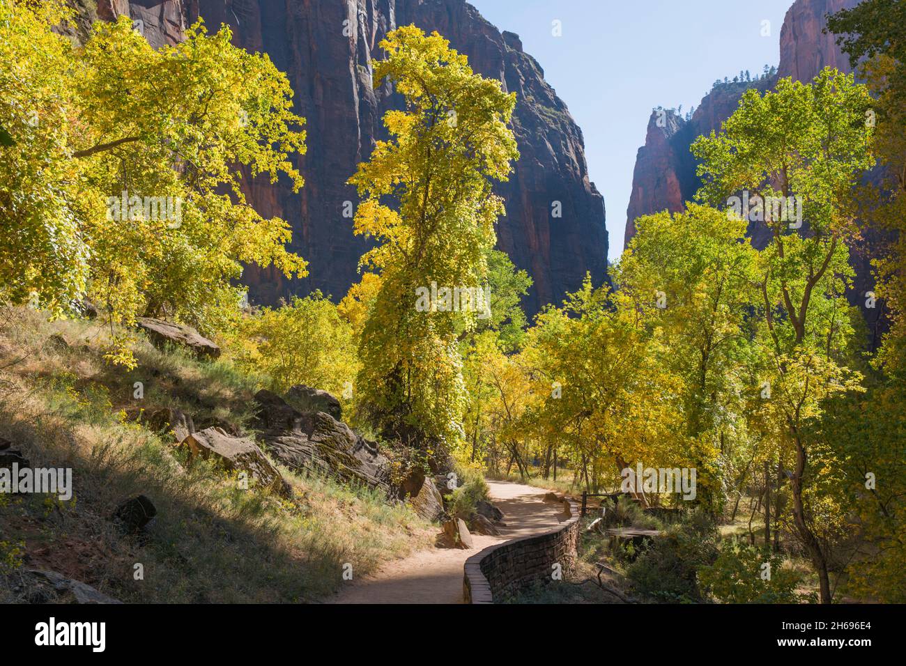 Zion National Park, Utah, USA. Ammira lungo la passeggiata lungo il fiume fino alle torreggianti scogliere di arenaria del Tempio di Sinawava, in autunno. Foto Stock