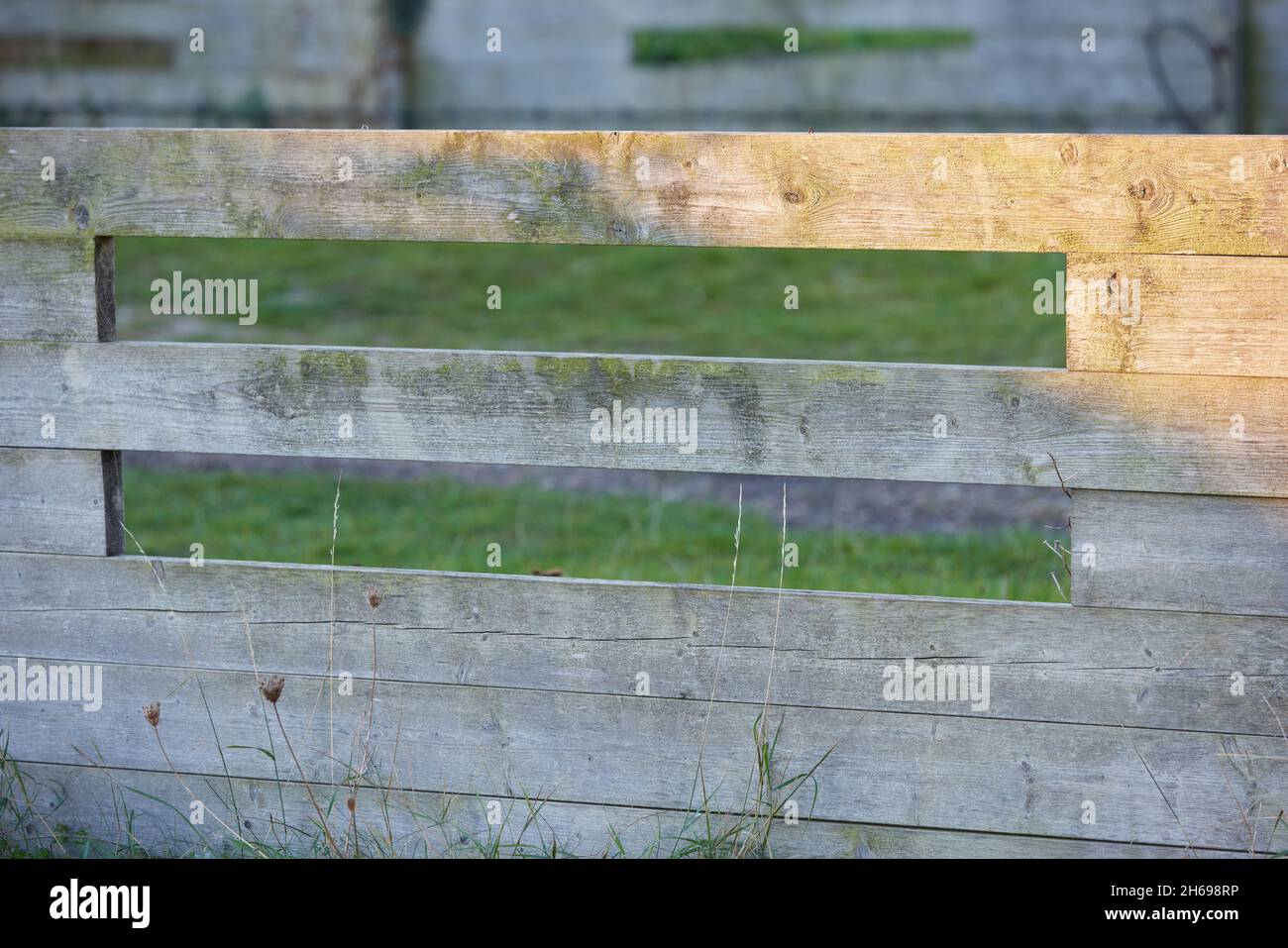 Semplice recinzione in legno lungo un prato verde. Foto Stock