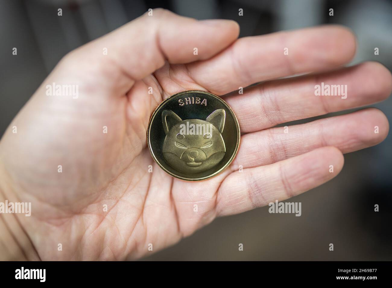 Shiba Inu Coin fisico tenuto in mano Foto Stock