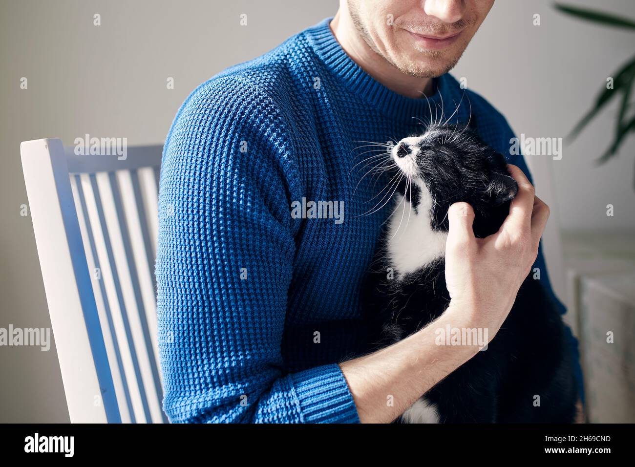 Giovane uomo che accarezza il suo gatto a casa durante il giorno di sole. Temi fiducia, cura e amicizia tra persone e animali domestici. Foto Stock