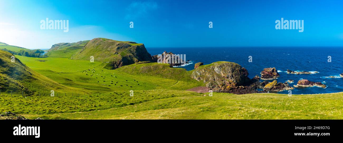 Villaggio di St. Abbs, Starney Bay - Riserva Naturale, Berwickshire, Scozia, Regno Unito Foto Stock