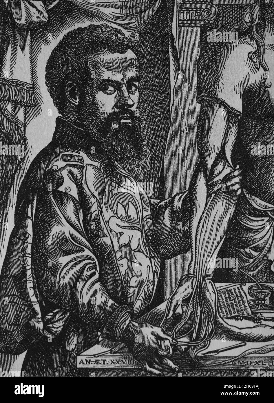 Andreas Vesalius (1514-1564). Anatomista belga. Legno tagliato da 'De umani Corporis Fabrica', Basilea, 1543. Foto Stock