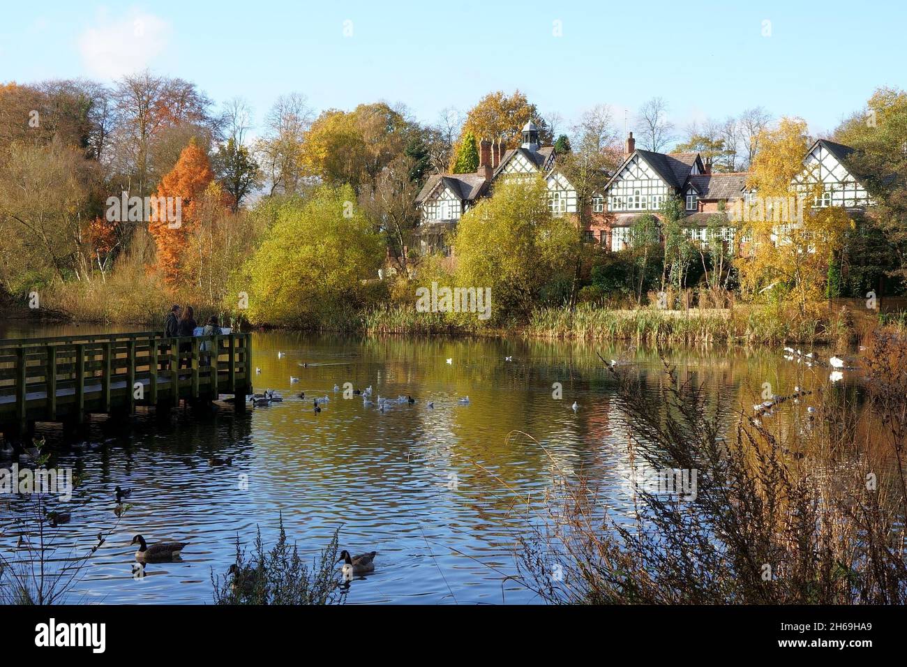 Vecchia diga di Warke a Worsley Woods, Worsley, Salford, Greater Manchester Foto Stock