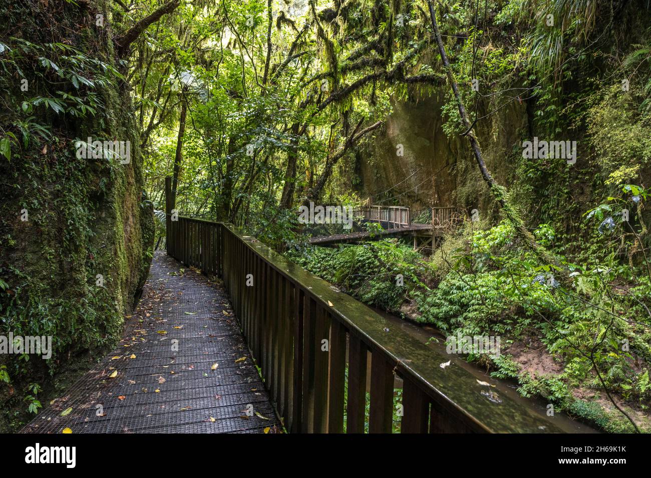 Mangapohue Natural Bridge, Nuova Zelanda, Isola del Nord Foto Stock