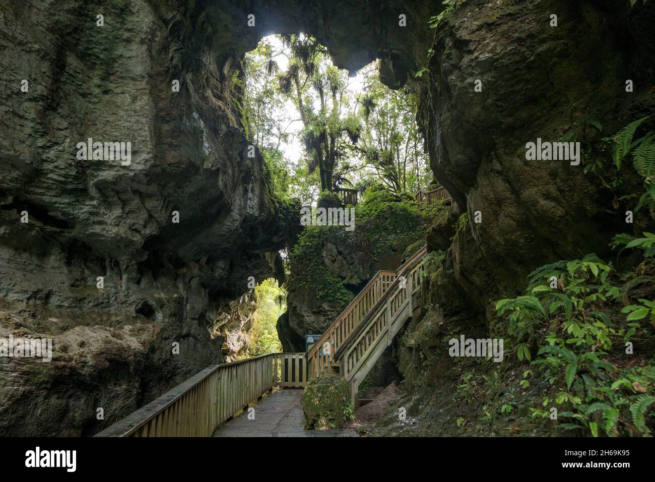 Mangapohue Natural Bridge, Nuova Zelanda, Isola del Nord Foto Stock