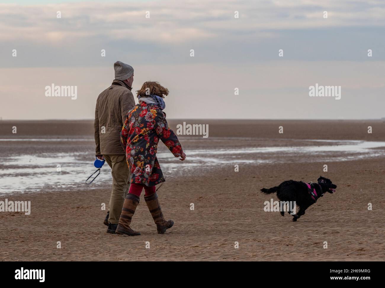 coppia di mezza età che camminano il loro cane sulla spiaggia insieme a holkham in norfolk, uomo e donna che camminano cane fuori di piombo su una spiaggia sabbiosa in norfolk. Foto Stock