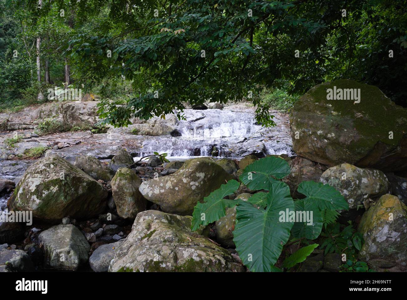 Lato superiore della cascata Foto Stock
