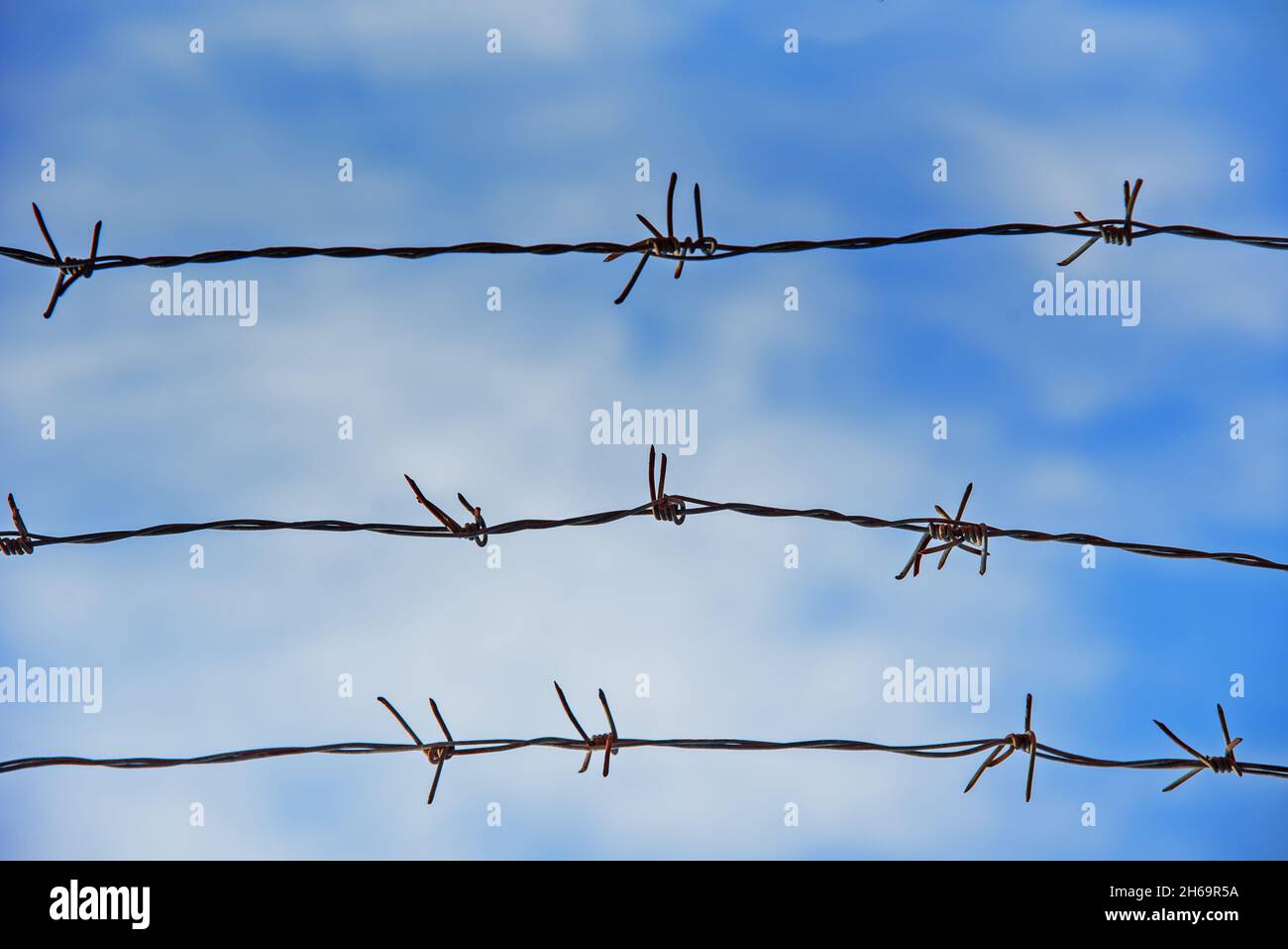 Filo spinato con il cielo sullo sfondo Foto Stock
