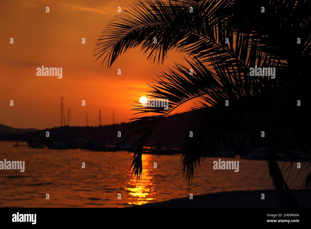 TROGIR, CROAZIA - 11 SETTEMBRE 2016: Questa è una silhouette di una palma sullo sfondo della costa dell'isola durante un tramonto autunnale. Foto Stock