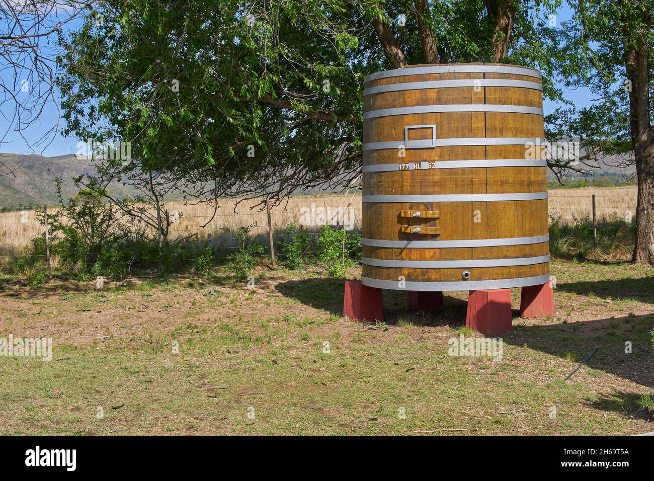 Grande botte di legno di vino all'aperto isolato in un vigneto in Argentina. Orizzontale Foto Stock