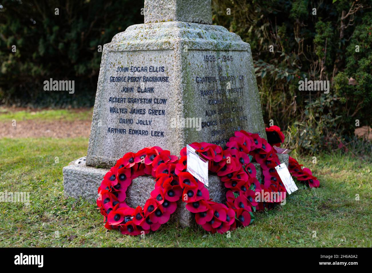 Ghirlande rosse di papavero deposte su un memoriale di guerra in ricordo dei morti di guerra, Suffolk UK Foto Stock