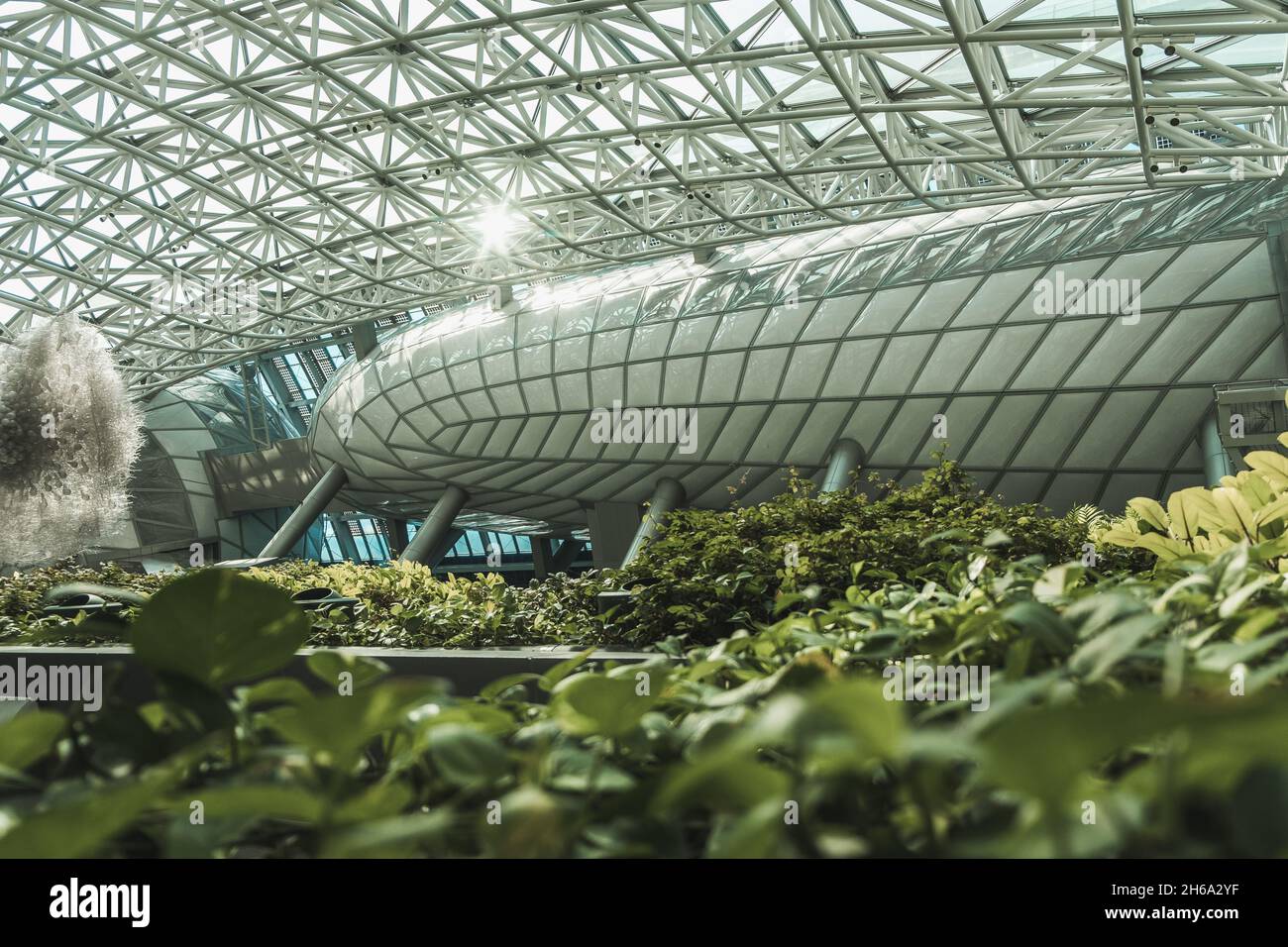 Giardino Botanico in metropoli. Edificio moderno con soffitto e pareti in vetro nella grande citta'. Interno di edificio urbano con piante. Foto Stock