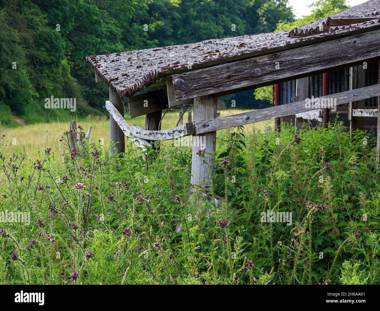 Vecchi agricoltori che costruisce nel prato Derbyshire dales nel Regno Unito Foto Stock