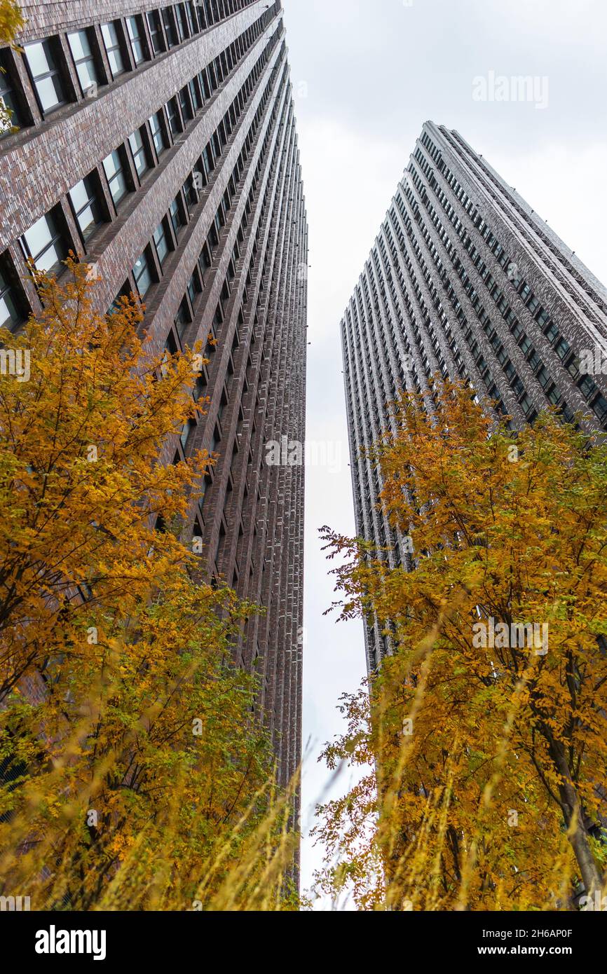 grattacieli grigi tra spazi verdi e alberi moderno eco yard .concept giungla tra città Foto Stock