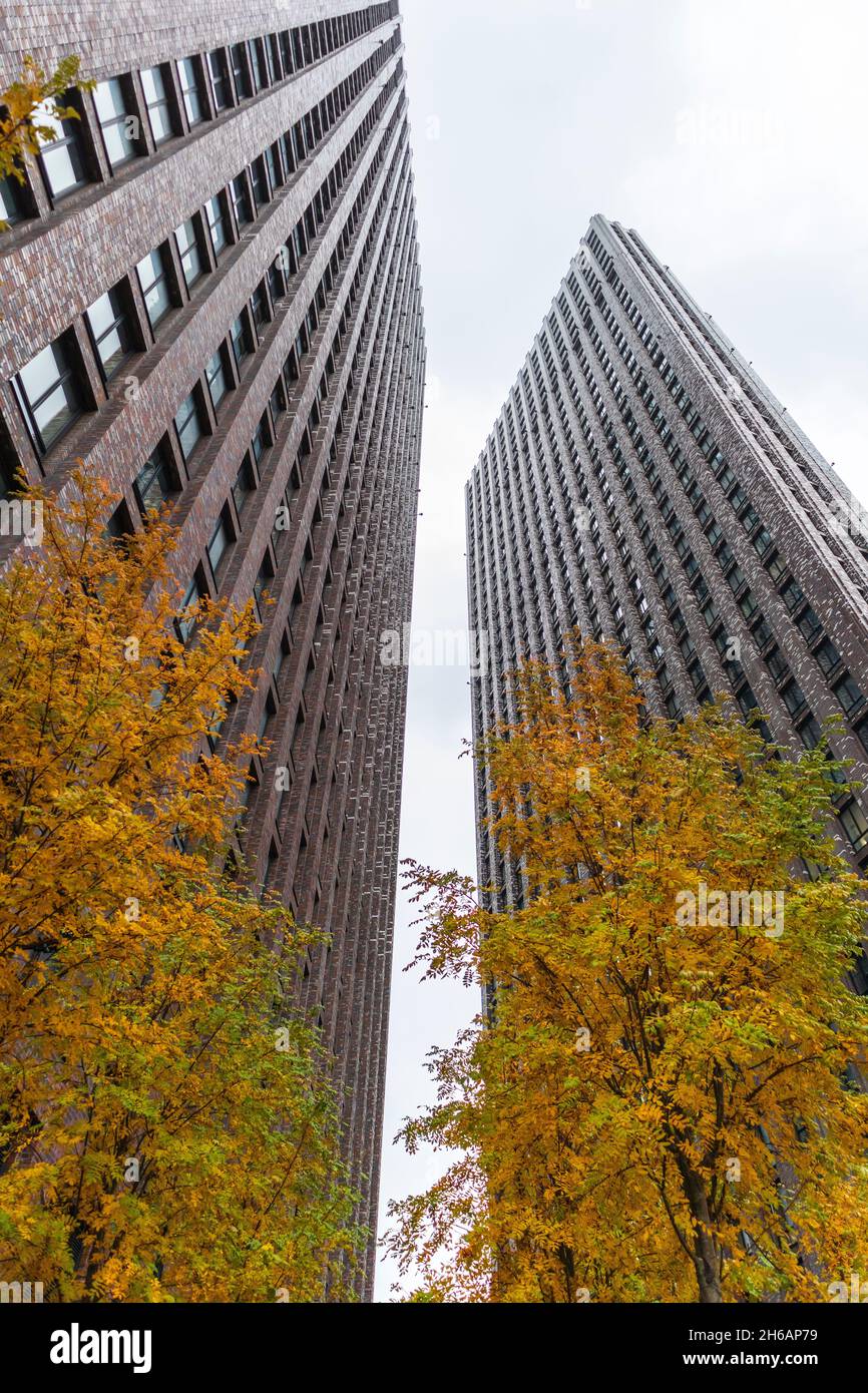 grattacieli grigi tra spazi verdi e alberi moderno eco yard .concept giungla tra città Foto Stock