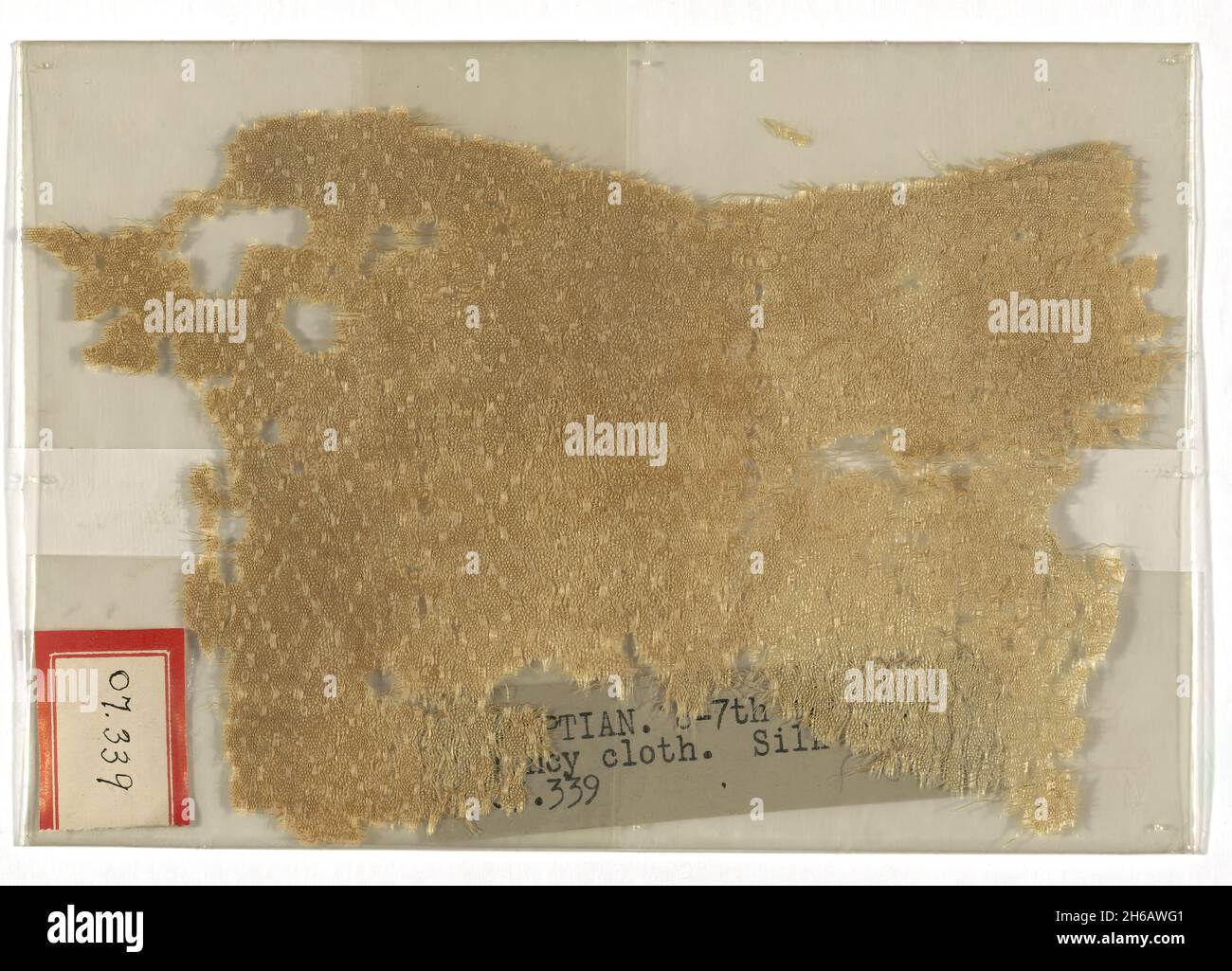 Fragment, Egitto, periodo arabo (641-969)/periodo Fatimid (969-1171)/periodo Ayyubid (1171-1250), X/XII secolo. Foto Stock