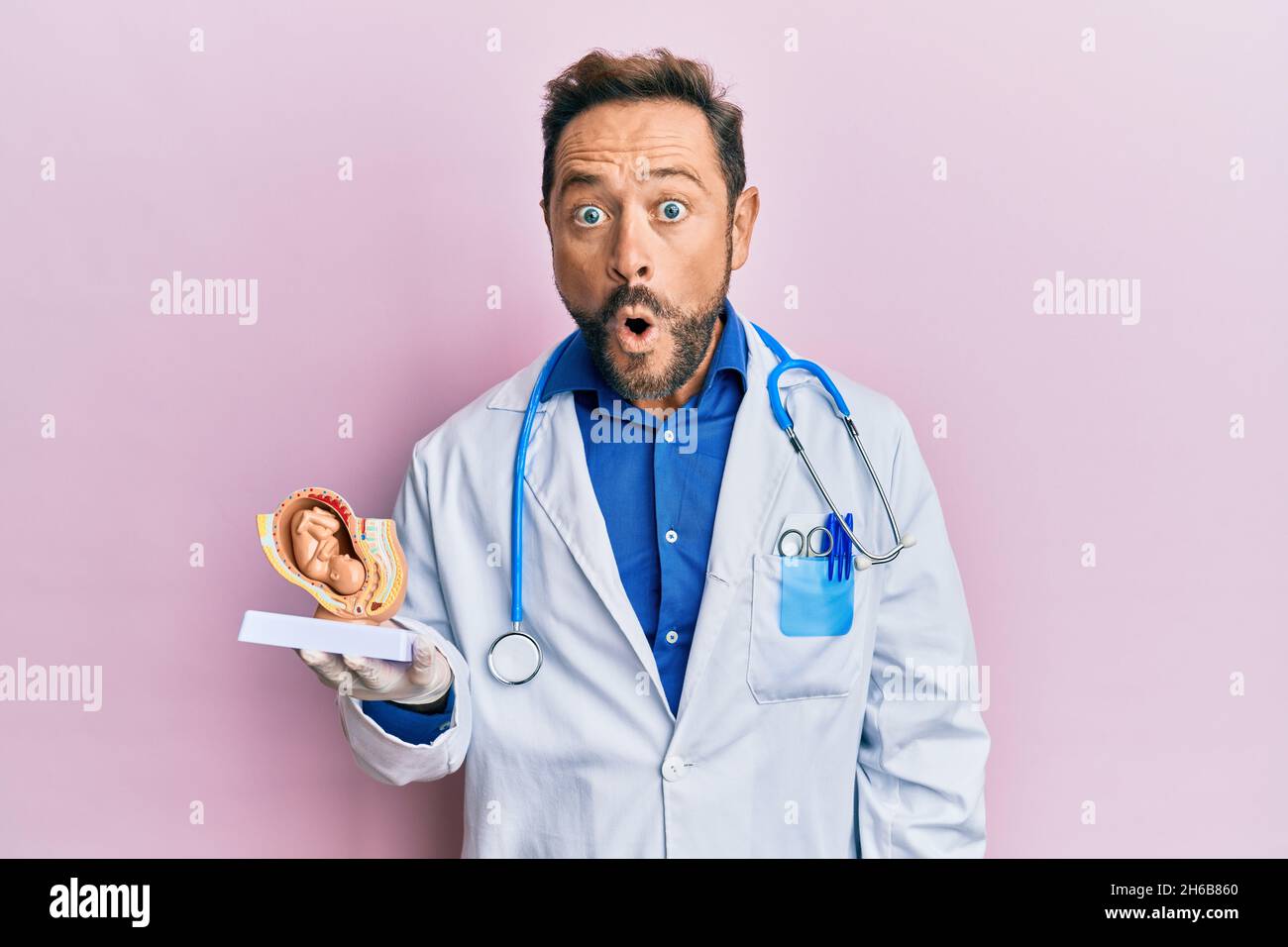 Uomo ginecologo di mezza età che tiene il modello anatomico dell'organo  genitale femminile sorridente puntamento felice con la mano e il dito Foto  stock - Alamy