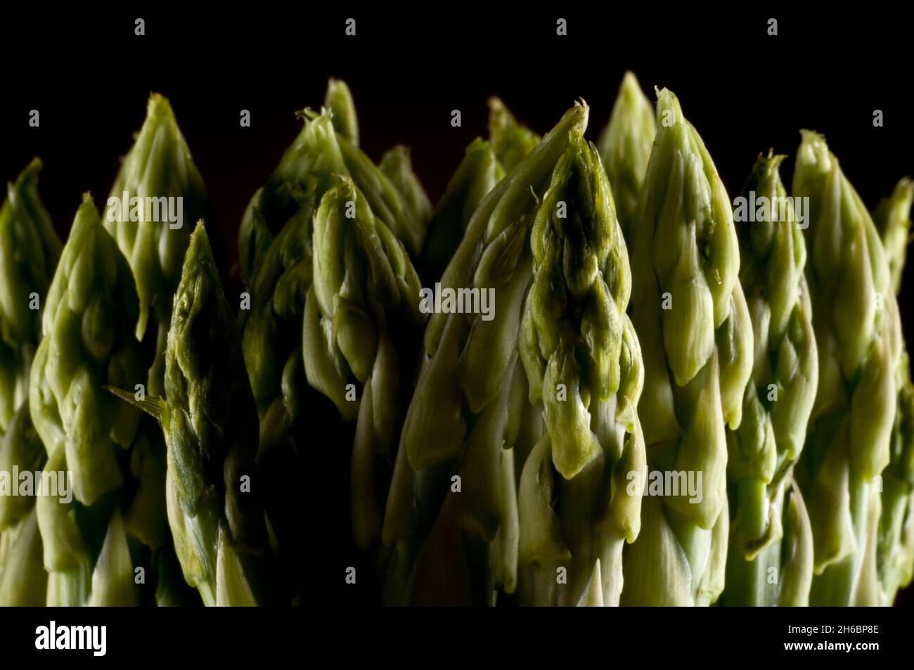 Mazzo di lance di asparagi, primo piano, isolato su nero Foto Stock