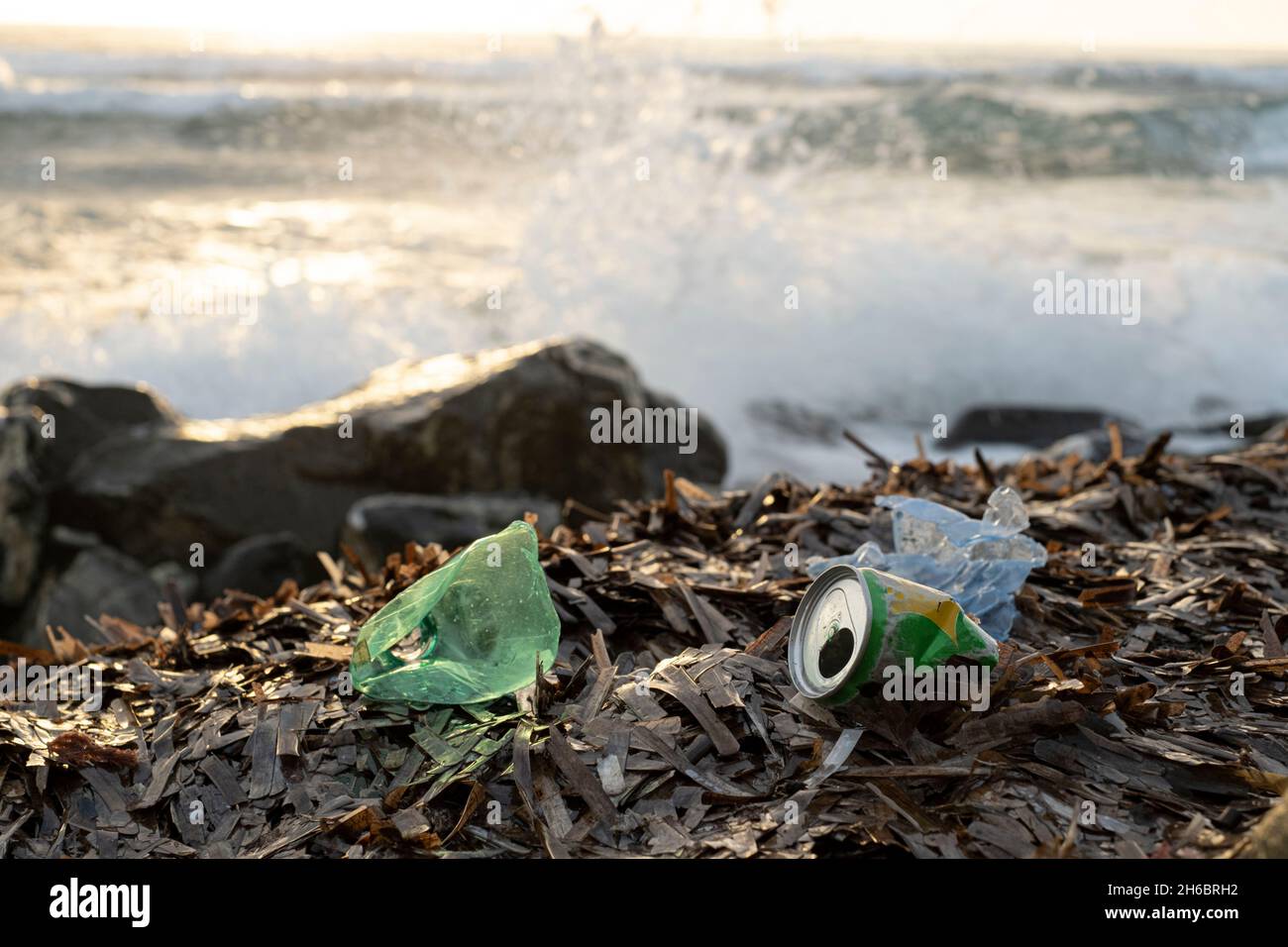 Bottiglia di plastica e rifiuti di alluminio sulla costa oceanica, inquinamento da detriti ambientali Foto Stock