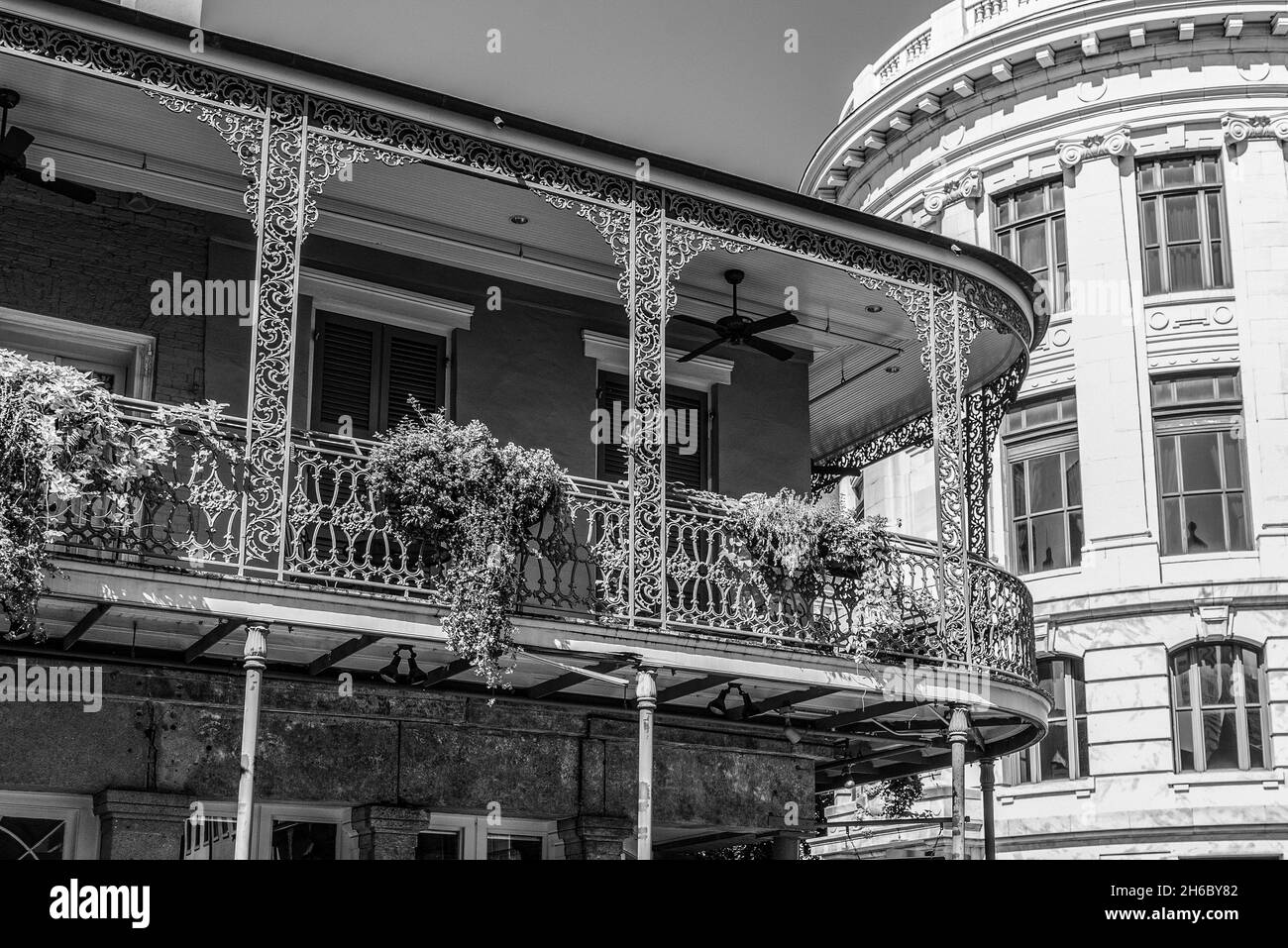 Balcone panoramico tipico di un edificio storico nel quartiere Francese di New Orleans, USA Foto Stock Balcone panoramico tipico di un edificio storico nel quartiere Francese di New Orleans, USA Foto Stock