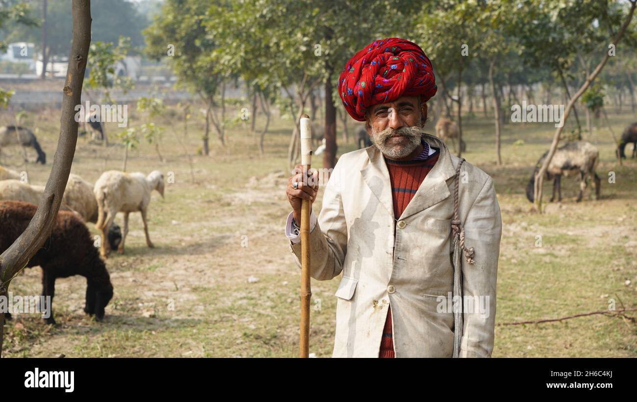 Immagine ad alta risoluzione: Allevamento di pastore #rajasthansheep, #indianshepherd, #thar desertsheep, #rajasthanlandscape, #ruralindia, Foto Stock
