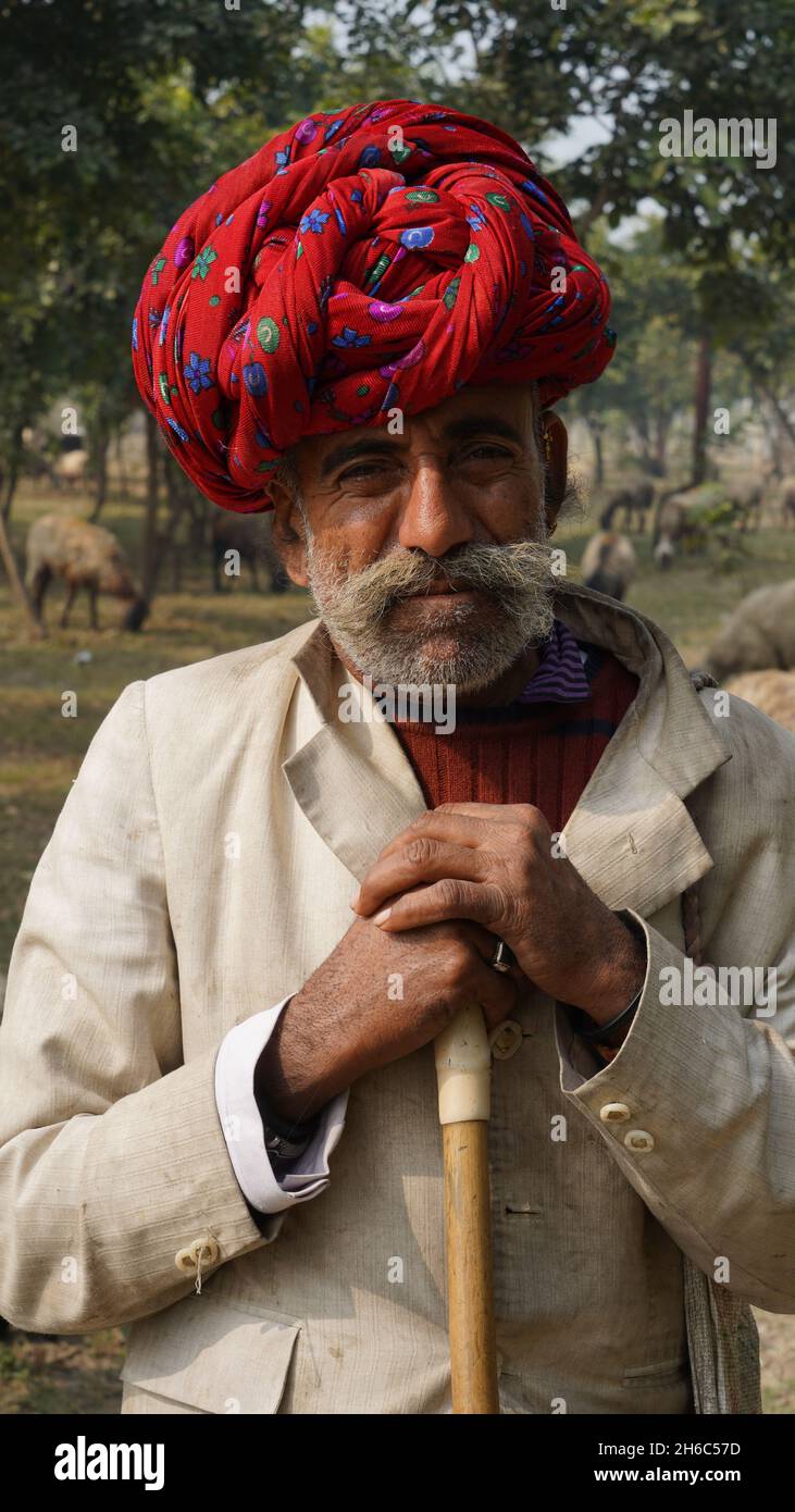 Immagine ad alta risoluzione: Allevamento di pastore #rajasthansheep, #indianshepherd, #thar desertsheep, #rajasthanlandscape, #ruralindia, Foto Stock