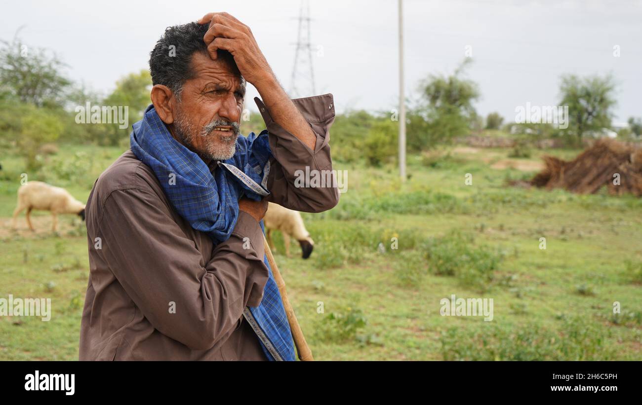 Immagine ad alta risoluzione: Allevamento di pastore #rajasthansheep, #indianshepherd, #thar desertsheep, #rajasthanlandscape, #ruralindia, Foto Stock