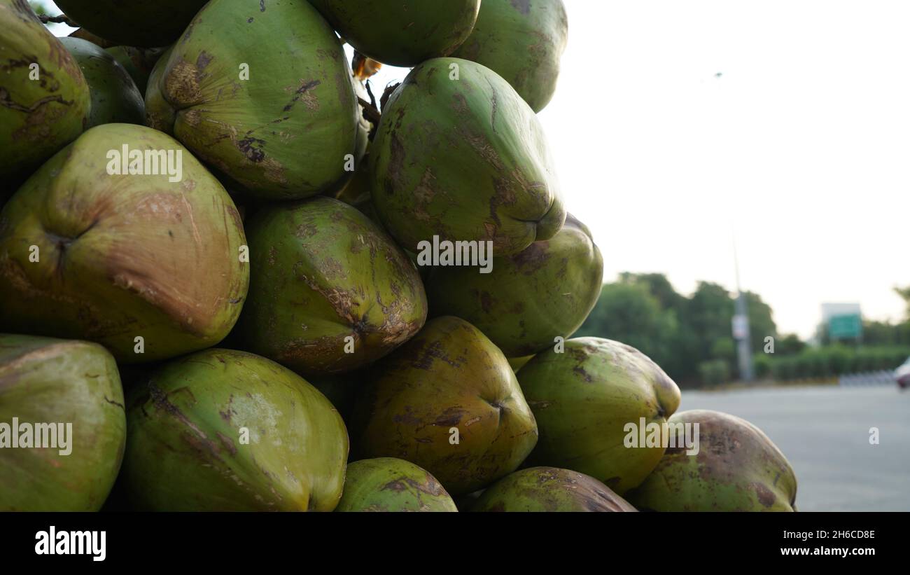 Immagini di alta qualità di noci di cocco grezze e mature Foto Stock