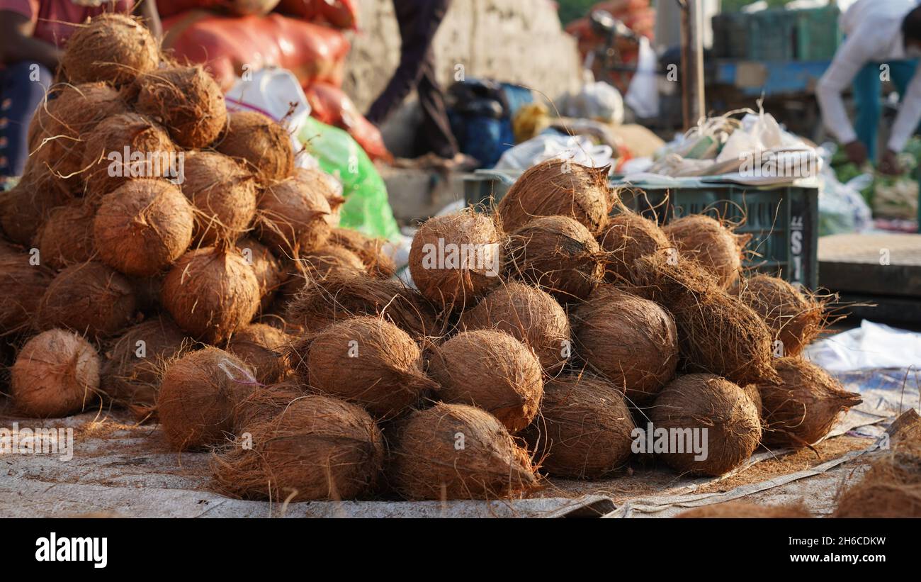 Immagini di alta qualità di noci di cocco grezze e mature Foto Stock