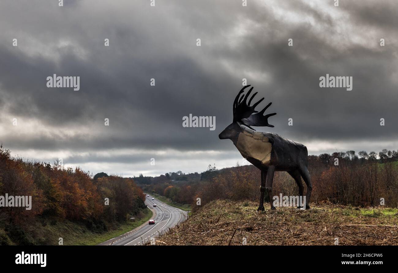 Blow Road, Cork, Irlanda. 14 novembre 2021. Per oltre venticinque anni una scultura in bronzo dell'artista Kevin Holland di un grande Elk irlandese si erge maestosamente sullo skyline della strada N20 tra Cork e Mallow. L'Elk si erge a oltre quattro metri di altezza con le corna che si estendono su tre metri e mezzo ed è una vista per vedere i viaggiatori in arrivo. - Foto; David Creedon / Alamy Live News Foto Stock