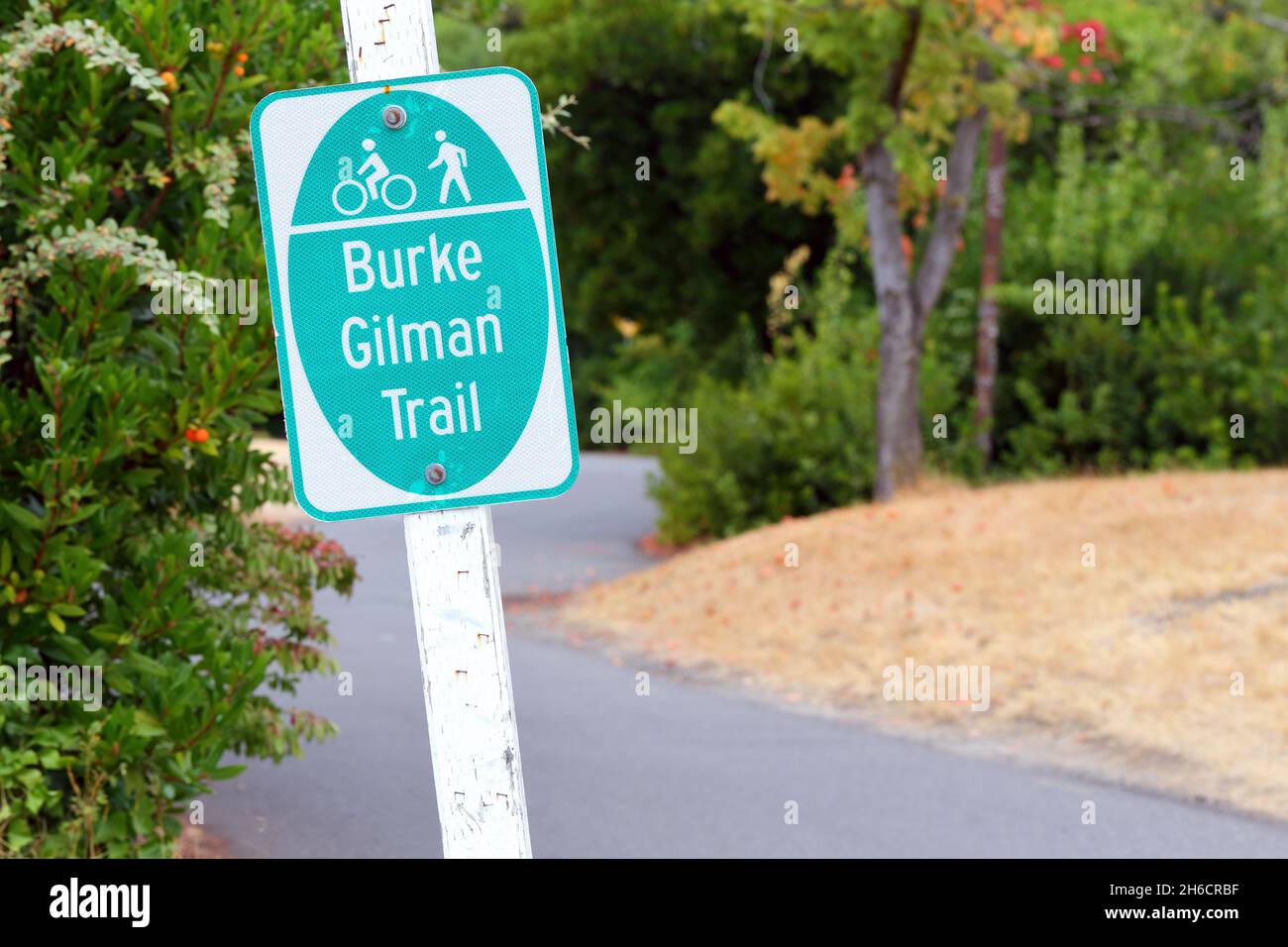 Il Burke Gilman Trail a Seattle, Washington. Il Burke Gilman è una pista ciclabile lastricata e pedonale da Ballard a Bothell. Foto Stock