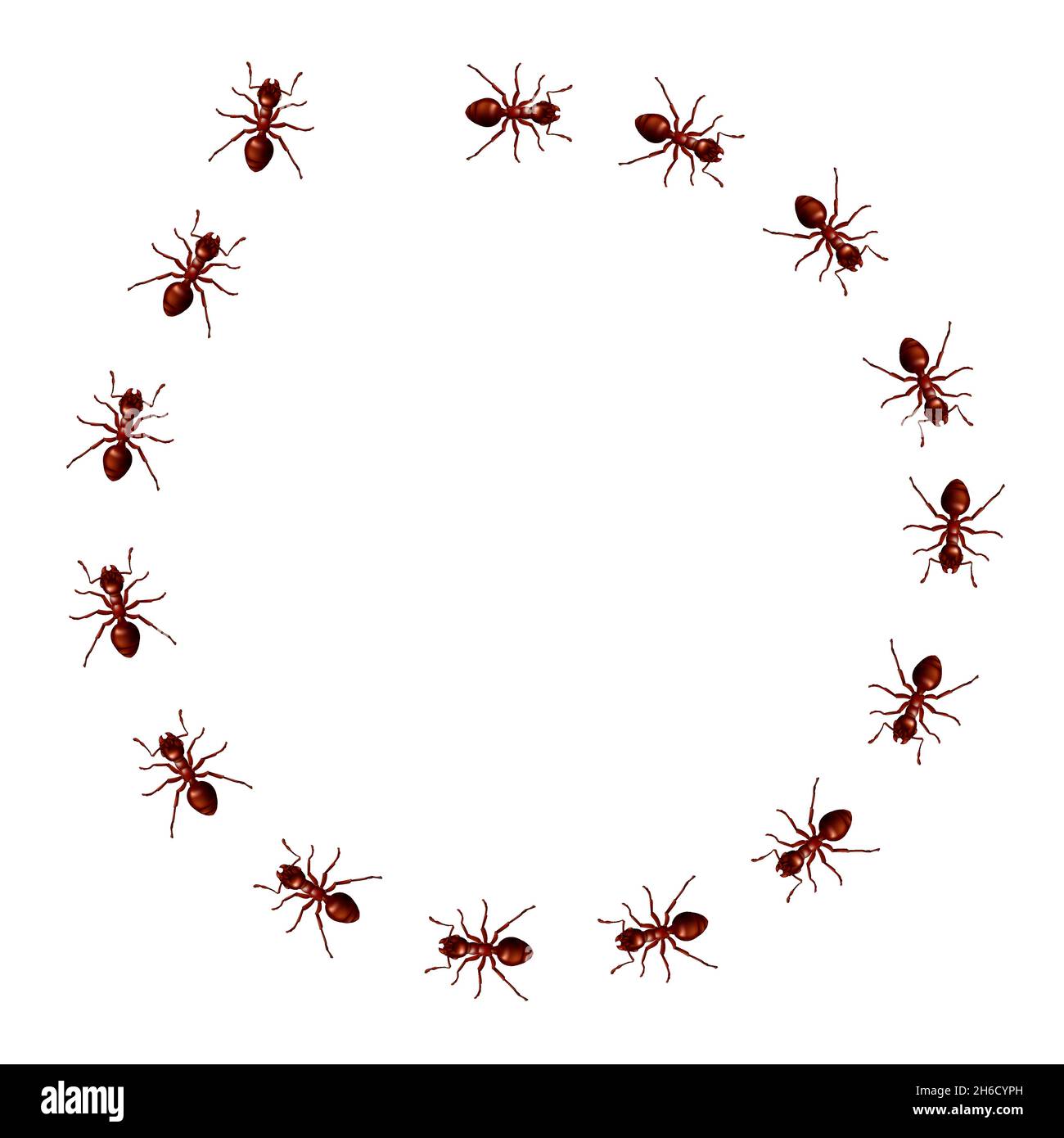 Formiche rosse che marciavano in un cerchio. Cornice formica circolare vettoriale costituita da bug a piedi. Illustrazione realistica in 3D di una traccia o traccia di insetti domestici Illustrazione Vettoriale