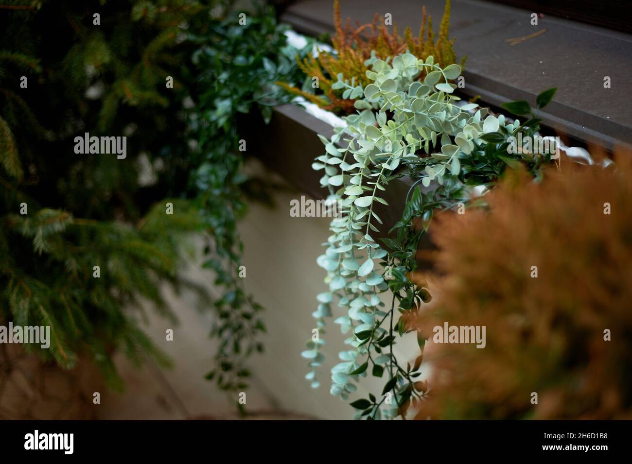 Davanzale con vasca con succulenti. Sospeso. Design del giardino. Foto Stock
