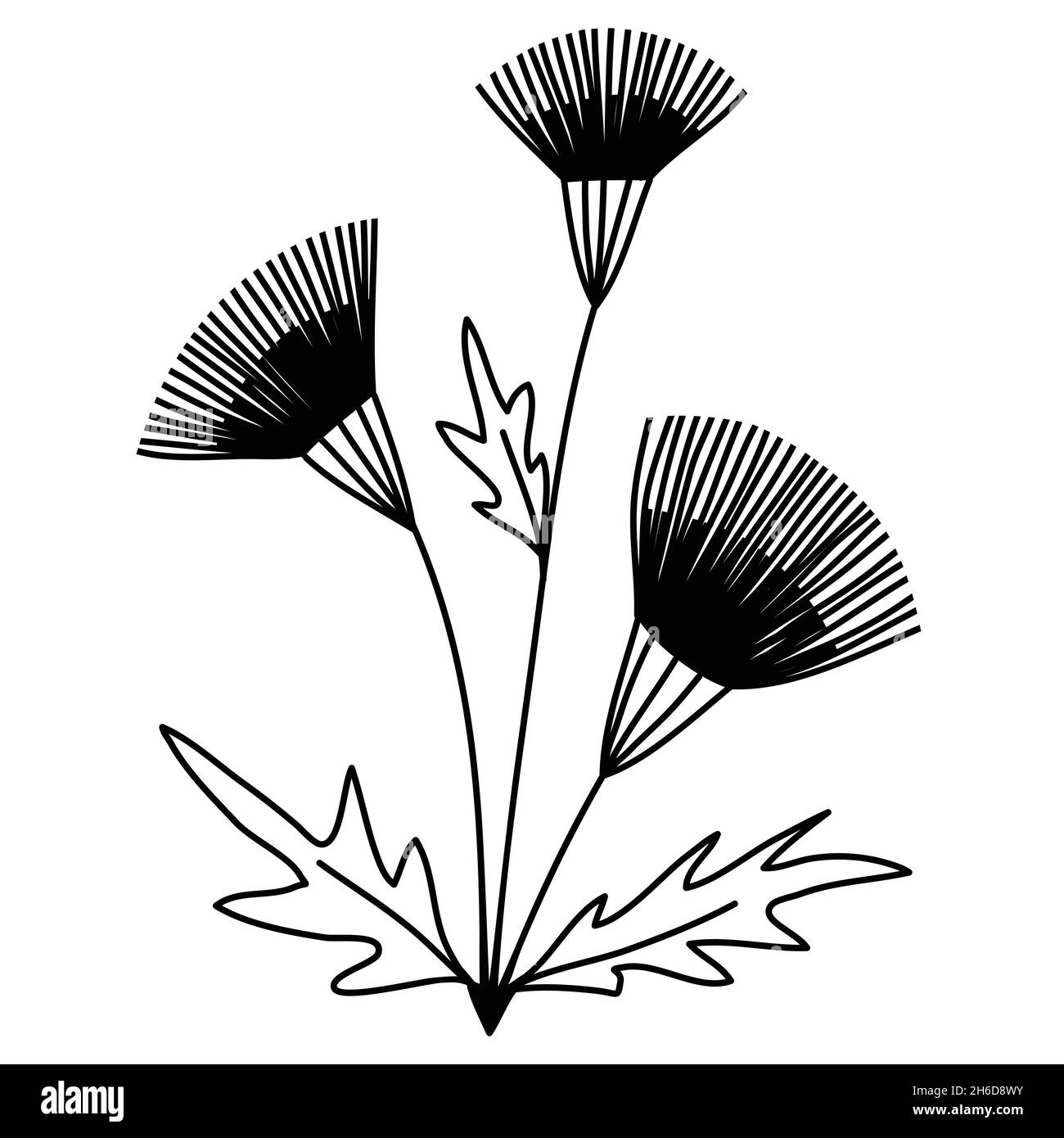 Arctium lappa fiore di burdock. Semplice immagine di un fiore con tre infiorescenze di fiore e foglie su steli sottili, vettore linea arte scarabocchio nero s. Illustrazione Vettoriale