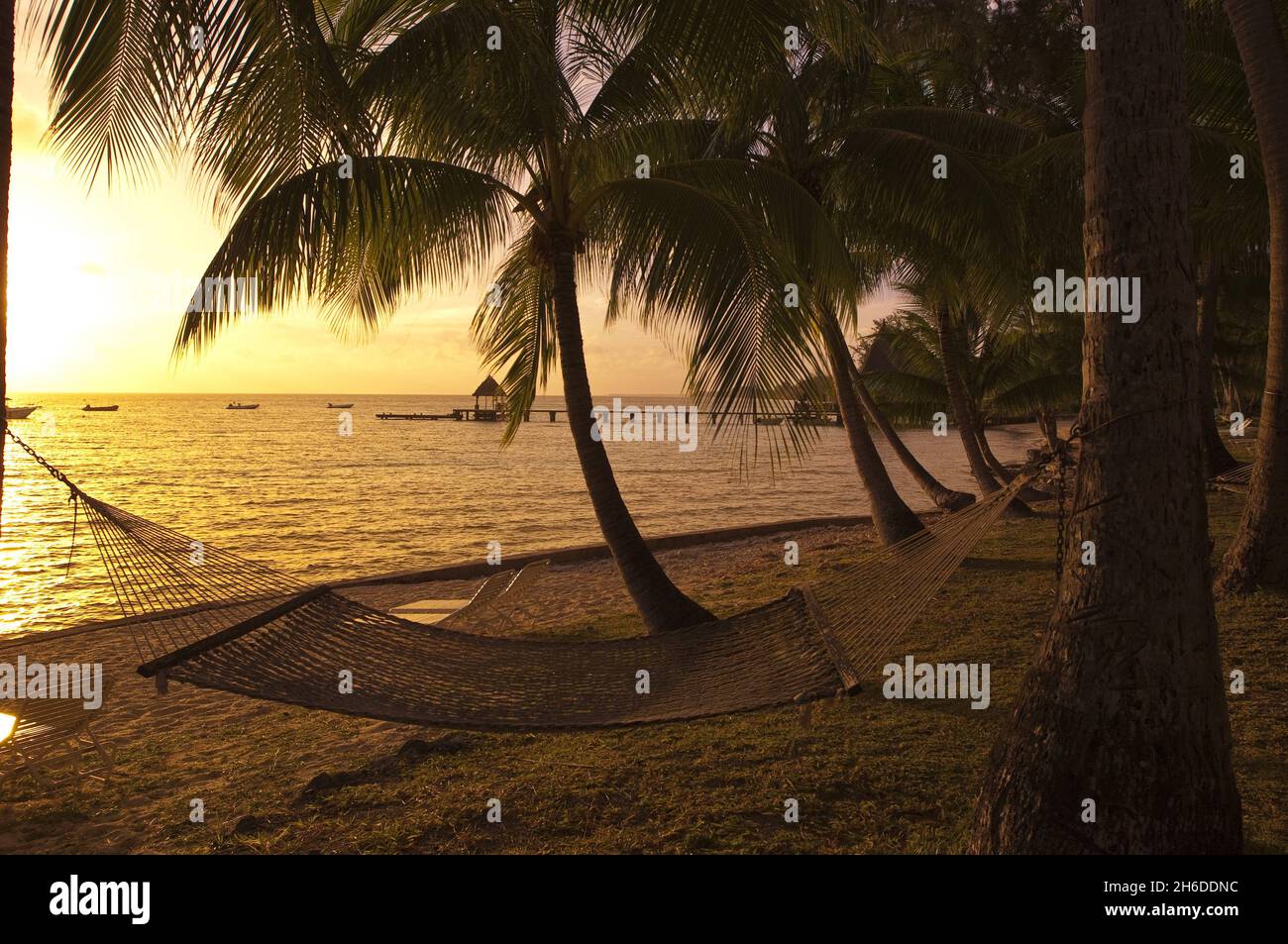 Amaca sulla spiaggia di palme, capanna di palafitta sullo sfondo, Polinesia Francese, Rangiroa Foto Stock