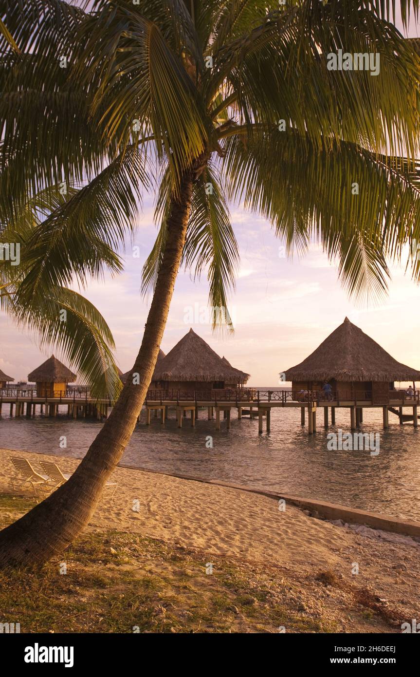 Capanne a palma in un complesso alberghiero presso la spiaggia di palme, Polinesia Francese, Rangiroa Foto Stock