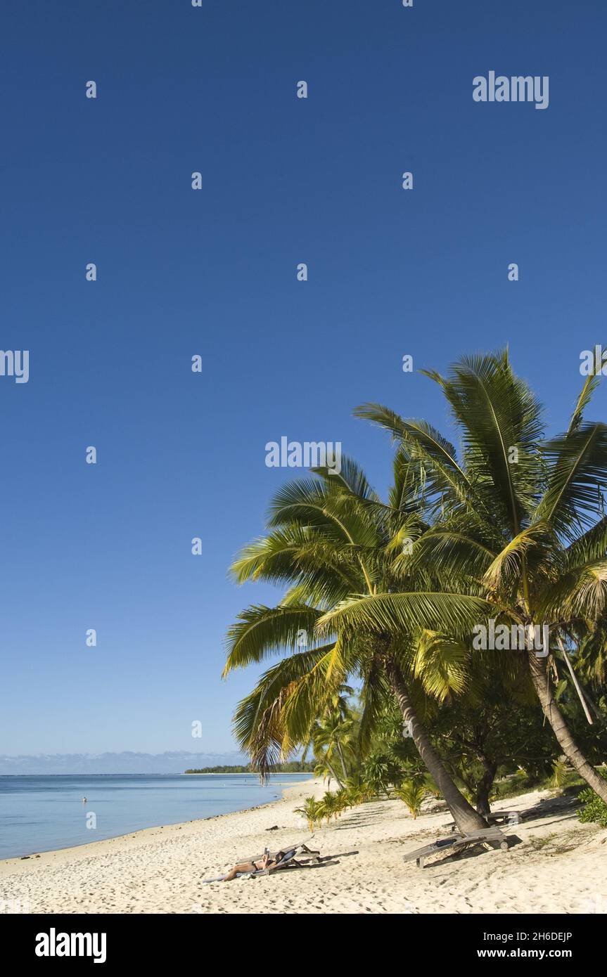 Palme da cocco (Cocos nucifera), spiaggia su un'isola di piede, Isole Cook, Aitutaki Foto Stock