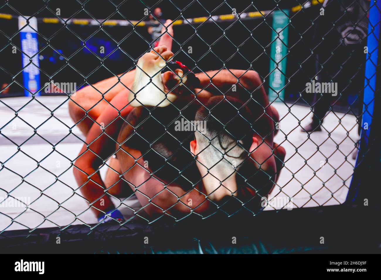 Due potenti combattenti MMA professionali che combattono, sono in clinch, wrestling in parterre sul pavimento ottagono. Foto Stock