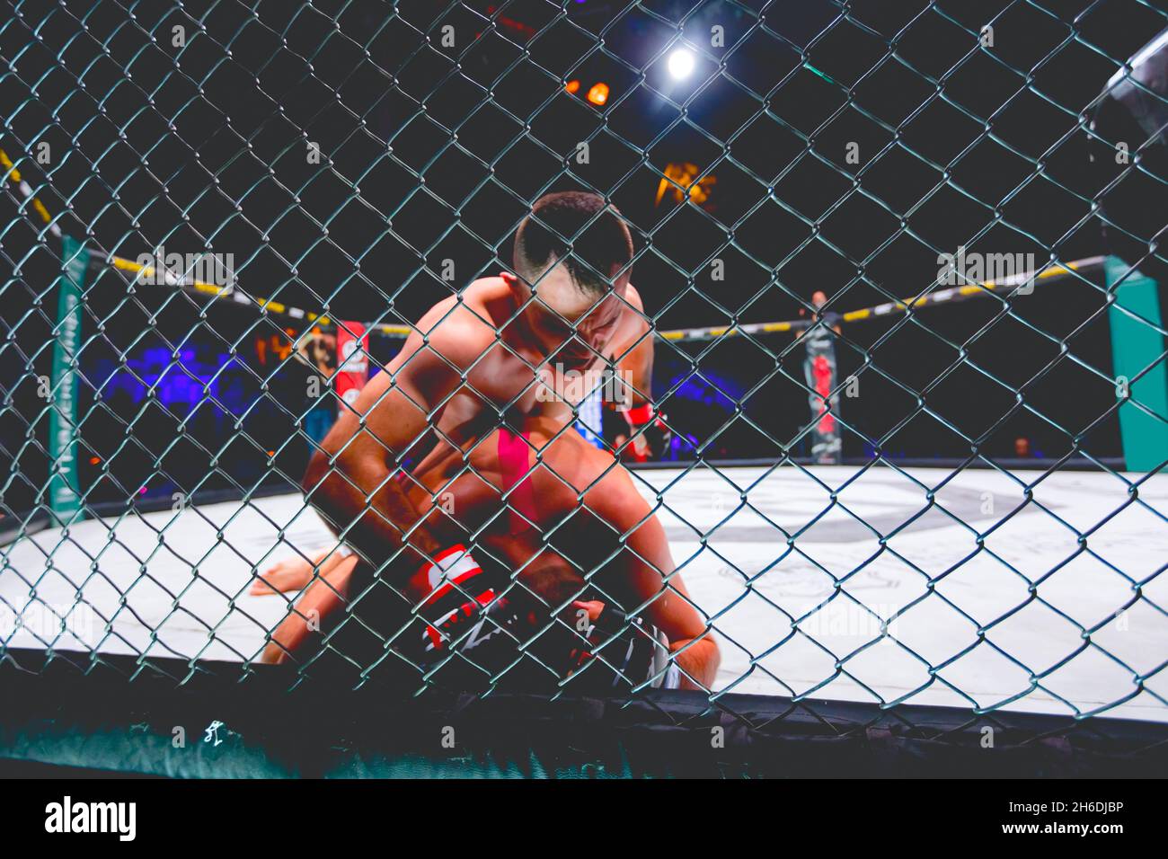 Due potenti combattenti MMA professionali che combattono, sono in clinch, wrestling in parterre sul pavimento ottagono. Foto Stock